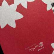 ヒメ日記 2025/10/26 04:34 投稿 かるび 札幌ススキノちゃんこ