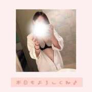 ヒメ日記 2025/11/09 11:24 投稿 かるび 札幌ススキノちゃんこ