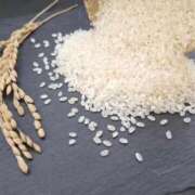 ヒメ日記 2025/09/25 23:54 投稿 ささみ 札幌ススキノちゃんこ