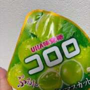 ささみ お礼日記🌻 札幌ススキノちゃんこ