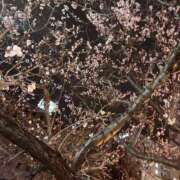 ヒメ日記 2025/04/28 23:34 投稿 さら 札幌ススキノちゃんこ