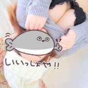 ヒメ日記 2025/05/08 19:44 投稿 さら 札幌ススキノちゃんこ