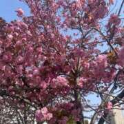 ヒメ日記 2025/05/09 19:32 投稿 さら 札幌ススキノちゃんこ