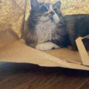 ヒメ日記 2025/05/16 00:04 投稿 さら 札幌ススキノちゃんこ