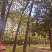 ヒメ日記 2025/05/18 20:32 投稿 さら 札幌ススキノちゃんこ