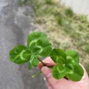 ヒメ日記 2025/07/08 21:14 投稿 さら 札幌ススキノちゃんこ