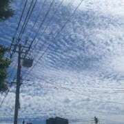 ヒメ日記 2025/07/09 14:08 投稿 さら 札幌ススキノちゃんこ