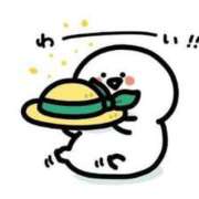 ヒメ日記 2025/07/13 15:34 投稿 さら 札幌ススキノちゃんこ