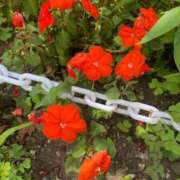 ヒメ日記 2025/07/14 09:24 投稿 さら 札幌ススキノちゃんこ