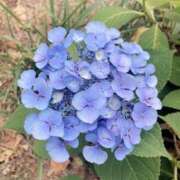 ヒメ日記 2025/07/18 14:34 投稿 さら 札幌ススキノちゃんこ