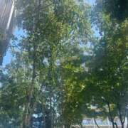 ヒメ日記 2025/07/24 12:54 投稿 さら 札幌ススキノちゃんこ