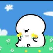 ヒメ日記 2025/07/31 11:24 投稿 さら 札幌ススキノちゃんこ