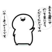 ヒメ日記 2025/09/06 03:01 投稿 さら 札幌ススキノちゃんこ