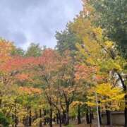 ヒメ日記 2025/09/27 11:44 投稿 さら 札幌ススキノちゃんこ