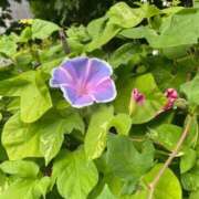 ヒメ日記 2025/09/30 11:44 投稿 さら 札幌ススキノちゃんこ