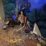 ヒメ日記 2025/10/20 20:54 投稿 さら 札幌ススキノちゃんこ