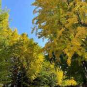 ヒメ日記 2025/10/24 14:44 投稿 さら 札幌ススキノちゃんこ