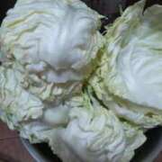 ヒメ日記 2025/04/29 07:14 投稿 みさと 札幌ススキノちゃんこ