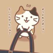 ヒメ日記 2025/05/10 17:34 投稿 みさと 札幌ススキノちゃんこ