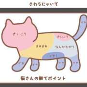 ヒメ日記 2025/05/17 03:04 投稿 みさと 札幌ススキノちゃんこ
