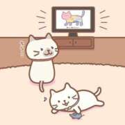 ヒメ日記 2025/05/20 13:34 投稿 みさと 札幌ススキノちゃんこ