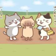 ヒメ日記 2025/06/02 15:07 投稿 みさと 札幌ススキノちゃんこ