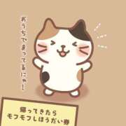 ヒメ日記 2025/06/10 12:22 投稿 みさと 札幌ススキノちゃんこ