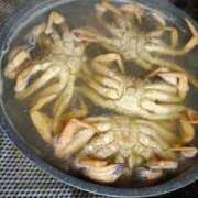 ヒメ日記 2025/06/20 16:24 投稿 みさと 札幌ススキノちゃんこ