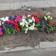 ヒメ日記 2025/06/21 07:54 投稿 みさと 札幌ススキノちゃんこ