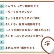 ヒメ日記 2025/07/05 15:23 投稿 みさと 札幌ススキノちゃんこ