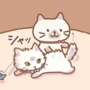 ヒメ日記 2025/07/13 10:44 投稿 みさと 札幌ススキノちゃんこ