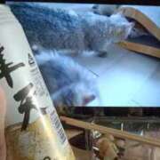 ヒメ日記 2025/08/21 00:54 投稿 みさと 札幌ススキノちゃんこ