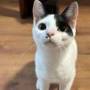 ヒメ日記 2025/08/22 14:34 投稿 みさと 札幌ススキノちゃんこ