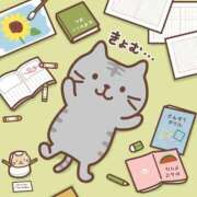 ヒメ日記 2025/09/02 19:43 投稿 みさと 札幌ススキノちゃんこ