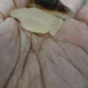 ヒメ日記 2025/09/05 18:34 投稿 みさと 札幌ススキノちゃんこ