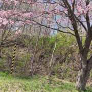 ヒメ日記 2025/05/05 17:24 投稿 みな 札幌ススキノちゃんこ