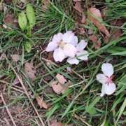 ヒメ日記 2025/05/09 19:24 投稿 みな 札幌ススキノちゃんこ