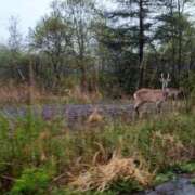 ヒメ日記 2025/05/13 22:44 投稿 みな 札幌ススキノちゃんこ