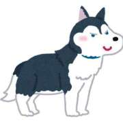 ヒメ日記 2025/05/14 23:14 投稿 みな 札幌ススキノちゃんこ