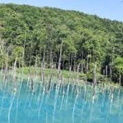 ヒメ日記 2025/07/13 20:04 投稿 みな 札幌ススキノちゃんこ