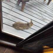 ヒメ日記 2025/07/16 14:54 投稿 みな 札幌ススキノちゃんこ