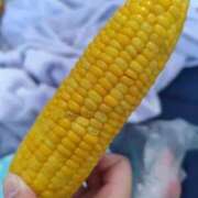 ヒメ日記 2025/07/17 14:50 投稿 みな 札幌ススキノちゃんこ