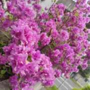 ヒメ日記 2025/08/10 10:14 投稿 みな 札幌ススキノちゃんこ