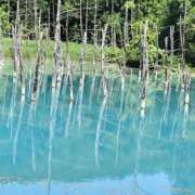 ヒメ日記 2025/08/11 23:54 投稿 みな 札幌ススキノちゃんこ