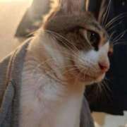 ヒメ日記 2025/10/20 10:34 投稿 みな 札幌ススキノちゃんこ