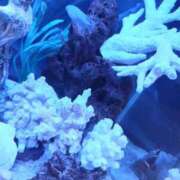 ヒメ日記 2025/10/23 14:44 投稿 みな 札幌ススキノちゃんこ