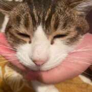 ヒメ日記 2026/02/20 21:54 投稿 みな 札幌ススキノちゃんこ