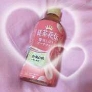 ヒメ日記 2025/04/26 21:12 投稿 とんとろ 札幌ススキノちゃんこ