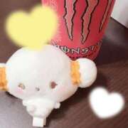 ヒメ日記 2025/05/04 13:44 投稿 とんとろ 札幌ススキノちゃんこ