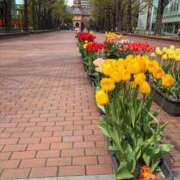 ヒメ日記 2025/05/06 23:27 投稿 とんとろ 札幌ススキノちゃんこ